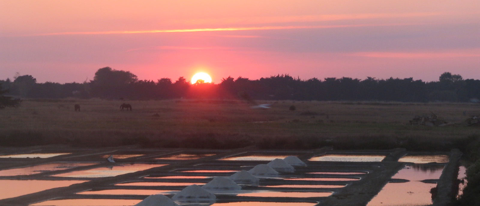 ile-de-noirmoutier